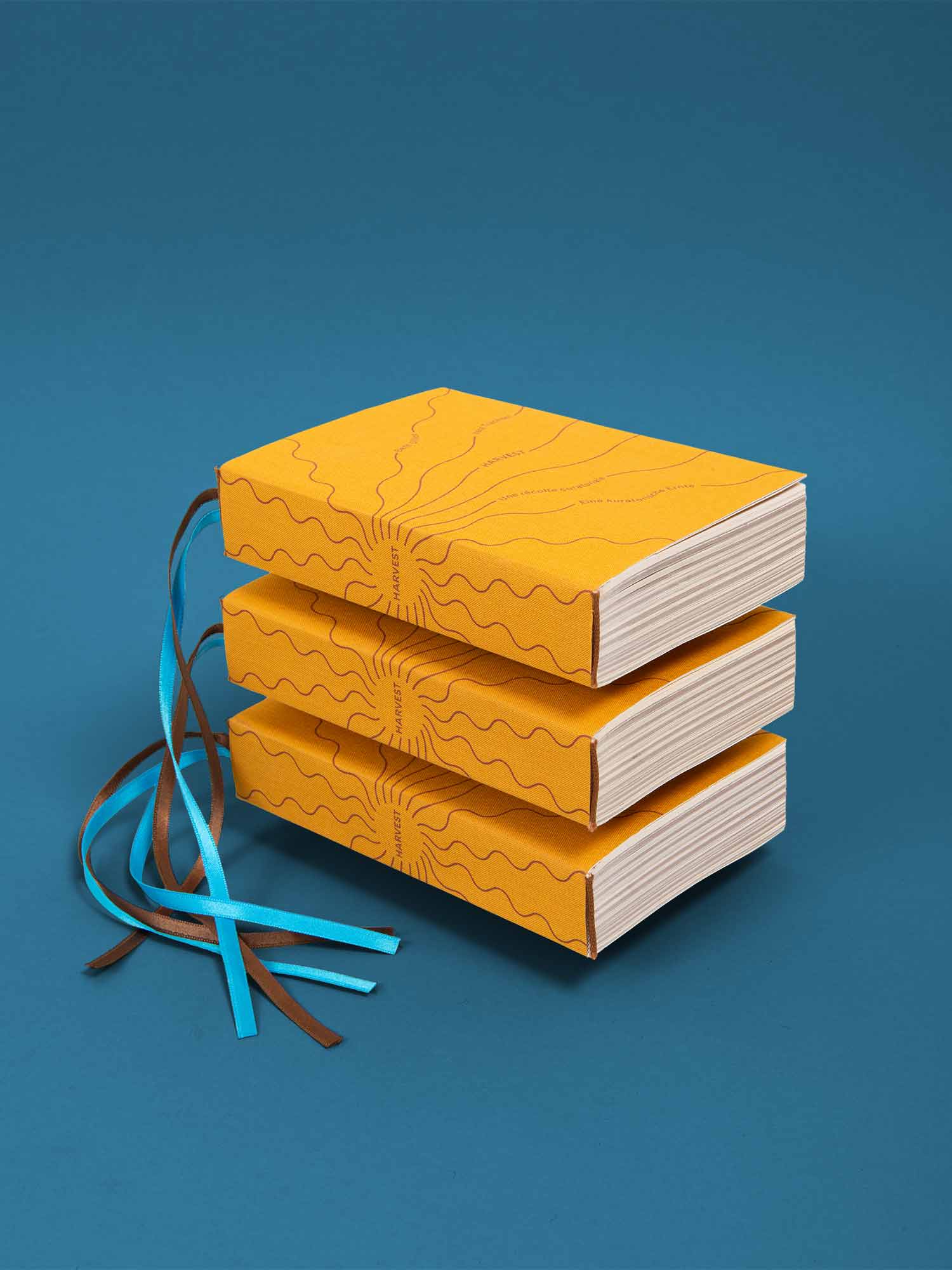 superbüro superbuero harvest vera trachsel beth dillon