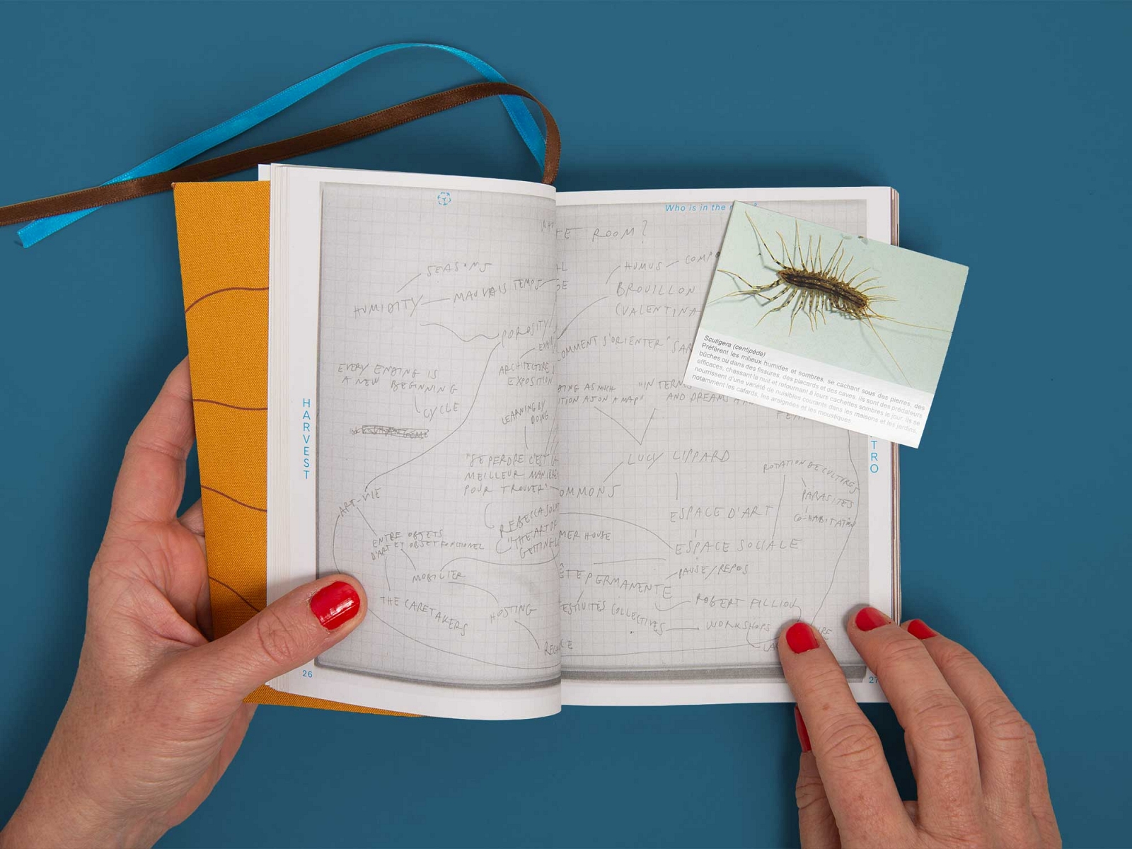 superbüro superbuero harvest vera trachsel beth dillon