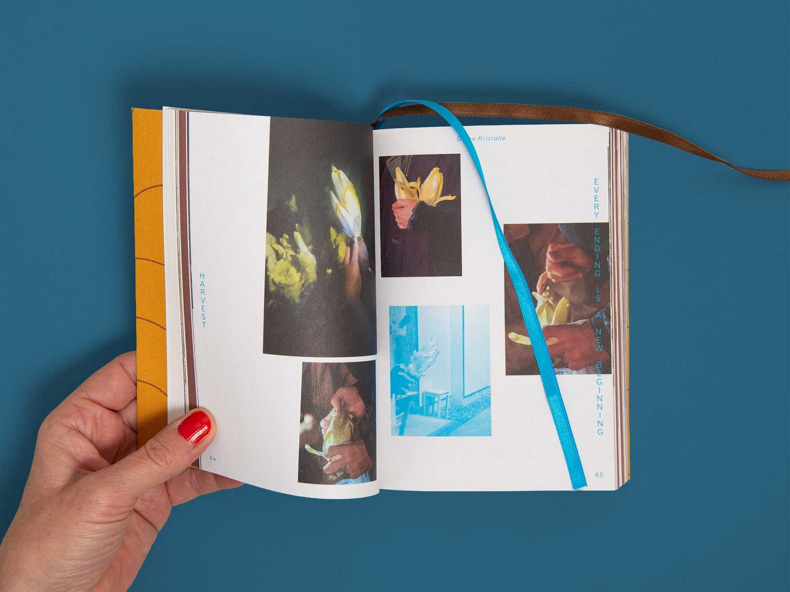 superbüro superbuero harvest vera trachsel beth dillon