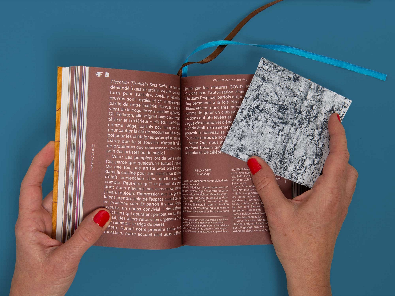 superbüro superbuero harvest vera trachsel beth dillon