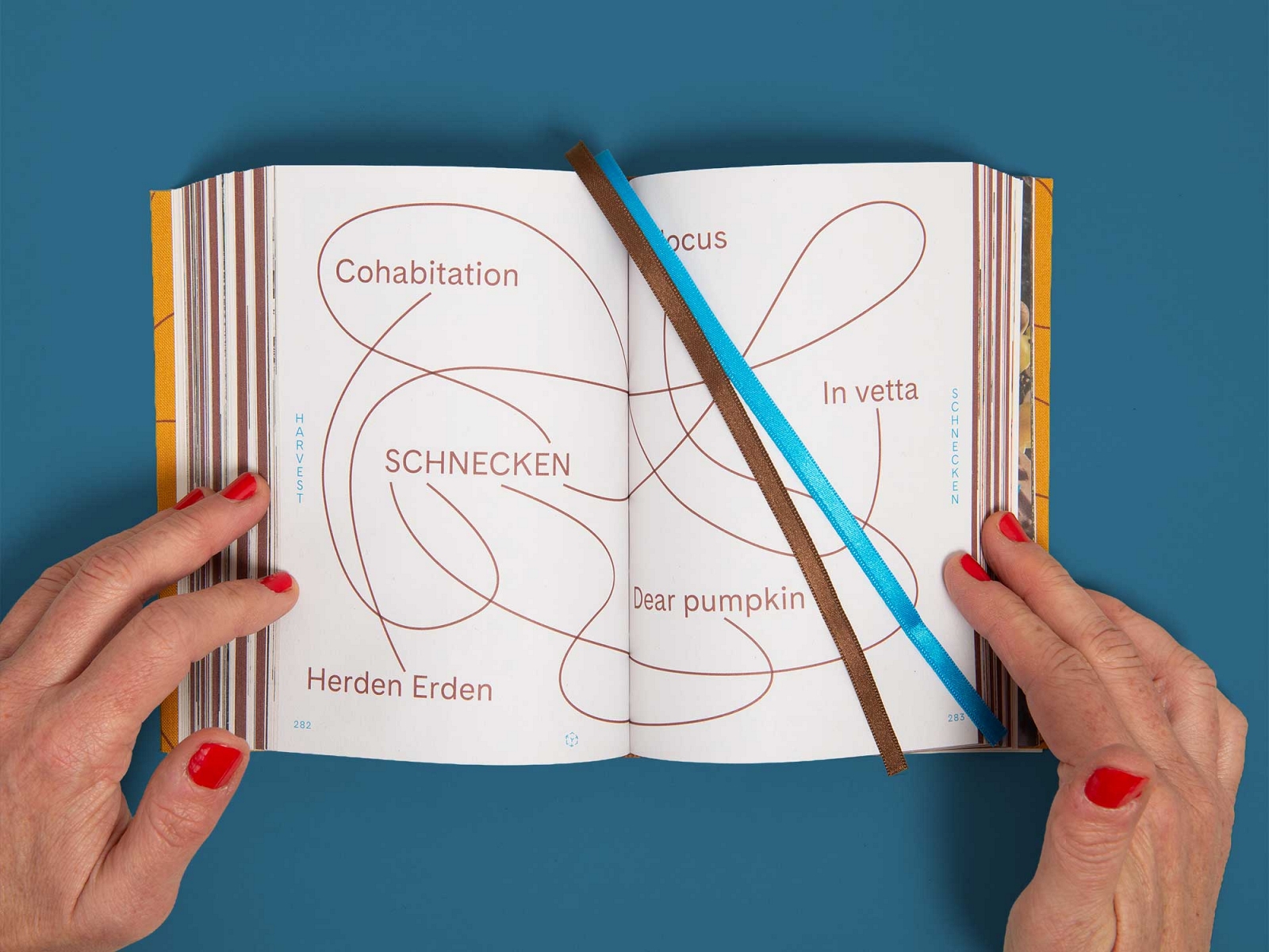 superbüro superbuero harvest vera trachsel beth dillon