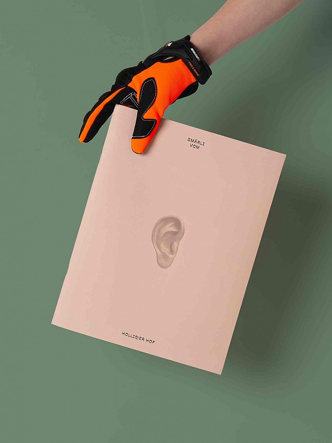 Holliger Hof Comicband