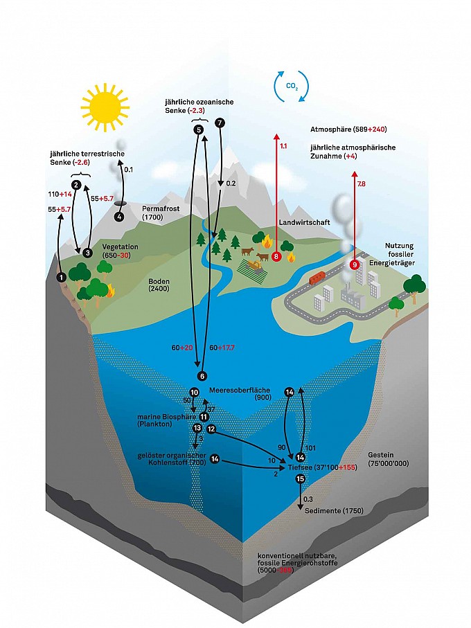 Infografik 