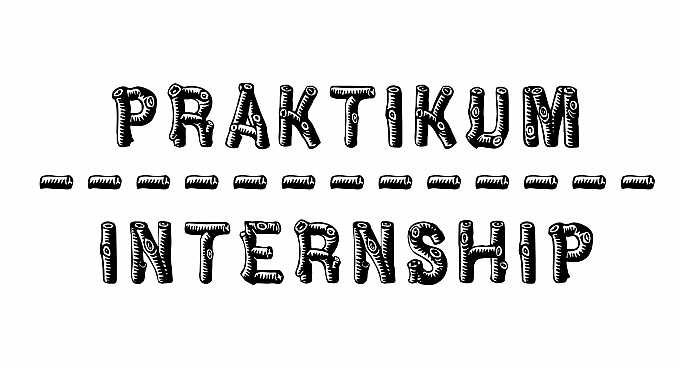 Praktikum/ internship